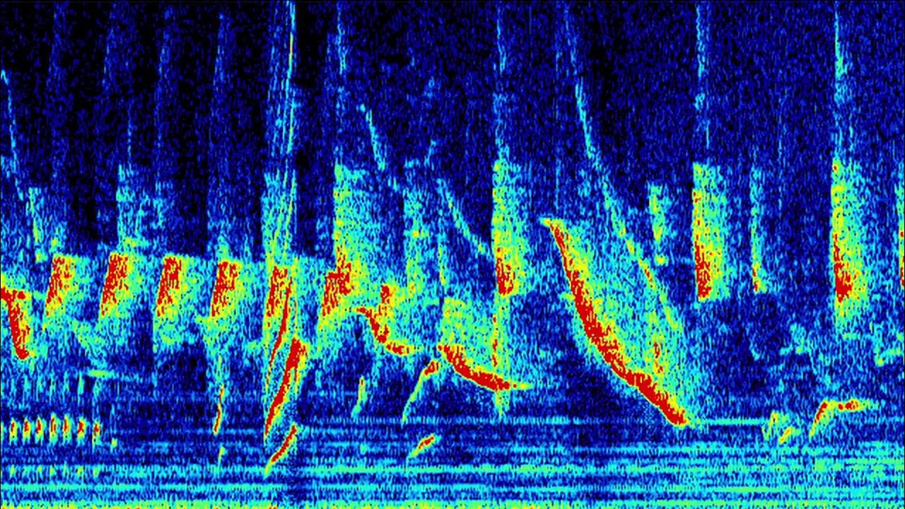 Fer Isella, Matthew Dear & Alejandro Valencia-Tobon – 'The Sound of Paradise'