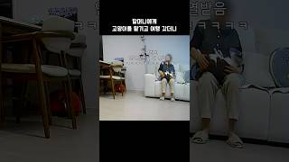 고양이를 혼자 놔두면 큰일남