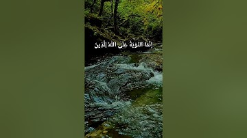 إِنَّمَا التَّوْبَةُ عَلَى اللَّهِ لِلَّذِينَ / سورة النساء #القران_الكريم #ياسر_الدوسري #سورة