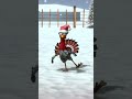 El Pavo esperando la Navidad #Shorts