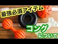 【コングについて】子犬の甘噛みもこれで軽減！？