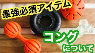 【コングについて】子犬の甘噛みもこれで軽減！？