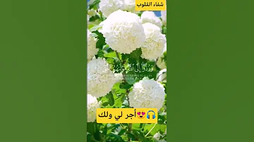 أكتب شيء تؤجر عليه القارئ عبدالرحمن مسعد اكسبلور القرآن الكريم 