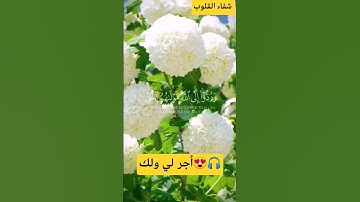 أكتب شيء تؤجر عليه |القارئ_عبدالرحمن_مسعد