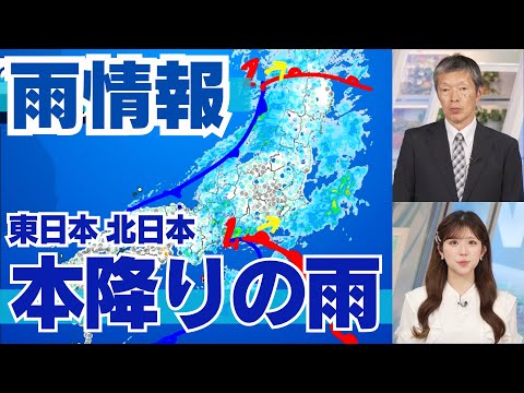【雨情報】東日本 北日本は本降りの雨
