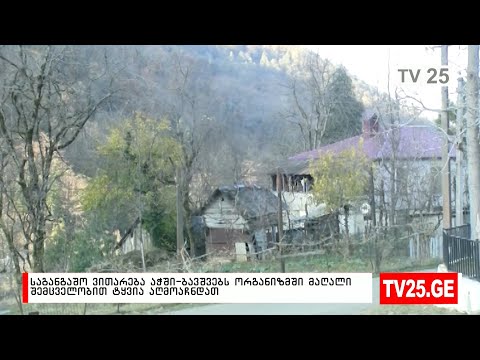 საგანგაშო ვითარება აჭში - ბავშვებს ორგანიზმში მაღალი შემცველობით ტყვია აღმოაჩნდათ