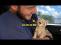 When Your Cat Starts Talking Back Like a Human! 😹