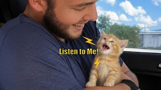 When Your Cat Starts Talking Back Like a Human! 😹