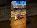 What Games Are We Playing тБЙя ПЁЯШ ЁЯТАЁЯФеЁЯЧ ЁЯджЁЯШИ Pc Computer Windows Gpu What Games Are We Playing тБЙя ПЁЯШ ЁЯТАЁЯФеЁЯЧ ЁЯджЁЯШИ Pc Computer Windows Gpu