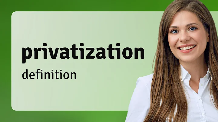 Privatization • definition of PRIVATIZATION