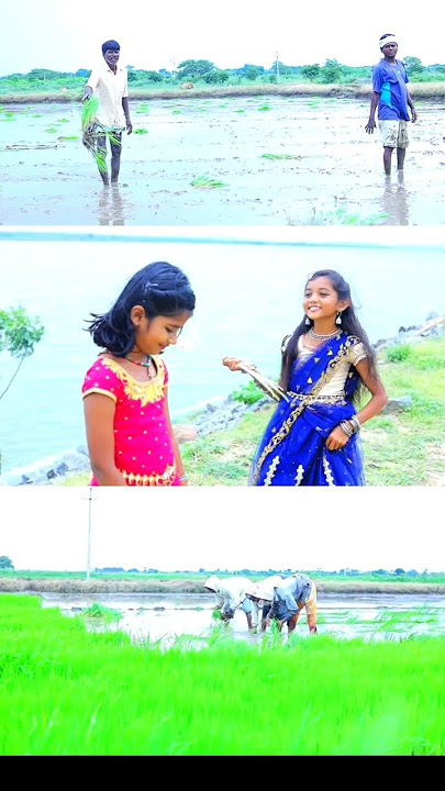 JIMMEDARI KOYILA NEW DJFOLK SONG 2021 LATEST DJ FOLK SONG #DJSONGS #LAVANYAFOLKSONGS​ #PASHAMSTUDIOS
