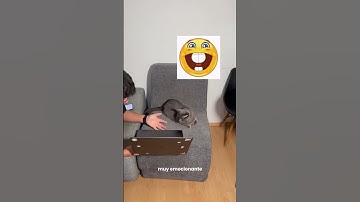 ¿Migrar de MongoDB a Postgres? Prepárate para llorar… pero con integridad de datos. 😅