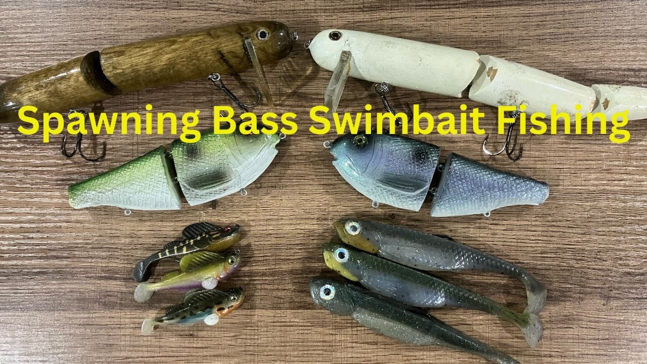 Mastering swimbaits for spawning bass: Top Baits, Hotspots, And