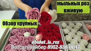 Обзор крупных мыльных роз вживую