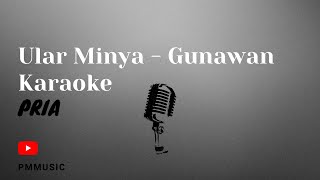 Karaoke Ular Minya - Gunawan Hd Version