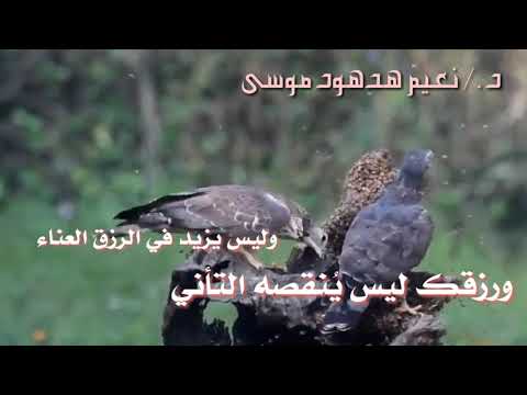 ورزقك ليس ينقصه التأني