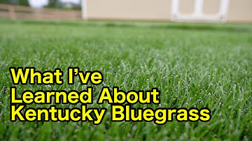 Kentucky Bluegrass What I’ve Learned