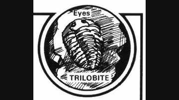 Debunking Evolutionists