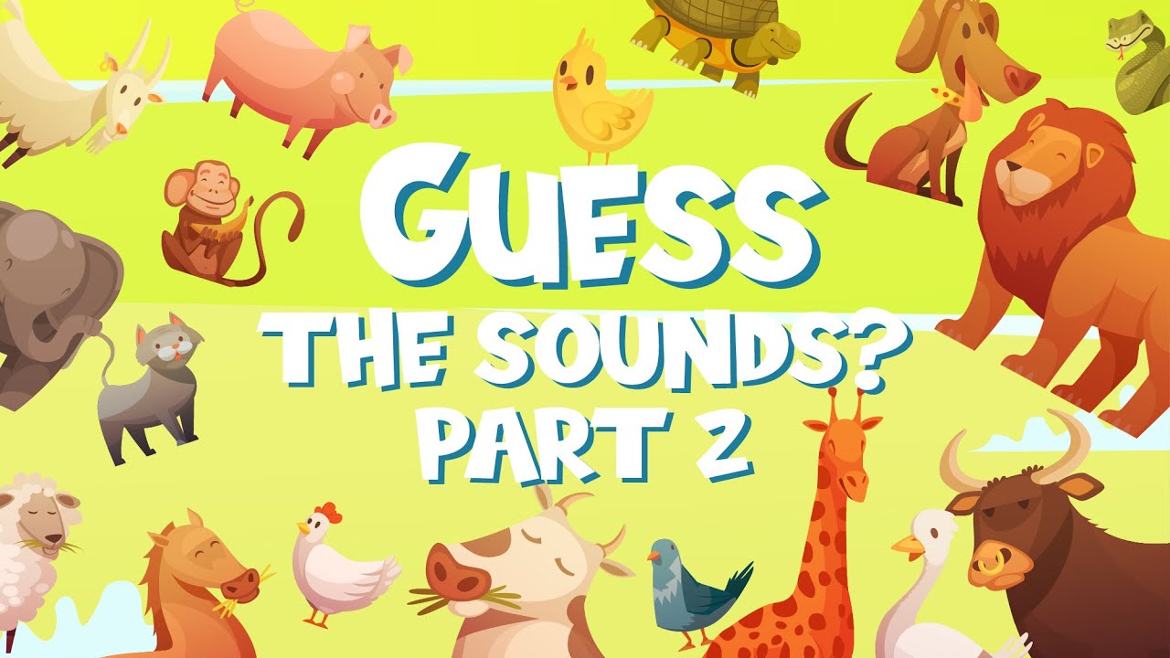 can you guess the animal sound animal quiz animal trivia YouTube