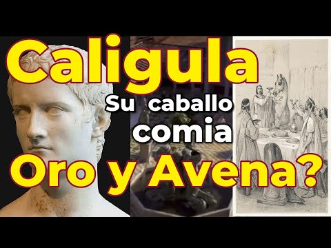 Vídeo: Entrades secretes descobertes al llibre de pregàries de la dona de Barbablava enviades al cadafal: Anne Boleyn