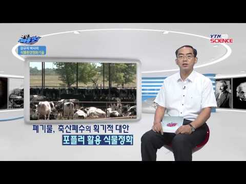 식물환경정화기술 / YTN 사이언스