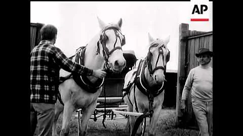 HORSE DRAWN CARRIAGES