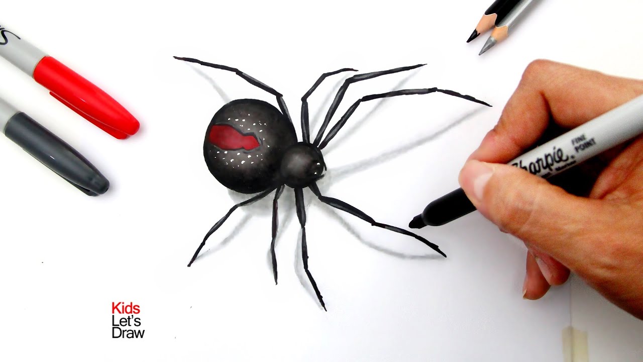 Cómoo dibujar una ARAÑA en 3D Realista (Fácil) | How to draw a ...