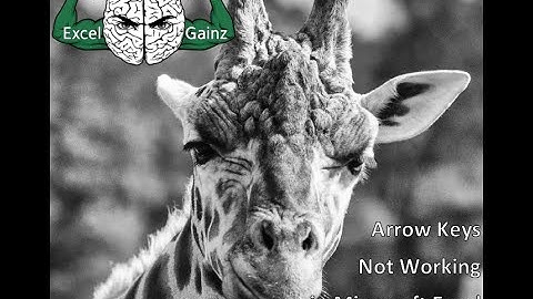 Arrow Keys Not Working in Microsoft Excel - Office 365 - 1080p