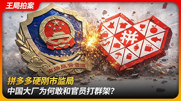 拼多多硬刚市监局，中国大厂为何敢和官员打群架？｜肢体冲突｜高管天团｜官员下海｜王局拍案 20251218