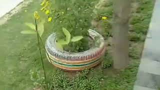 Village Rose Laskani Baloch Vlog