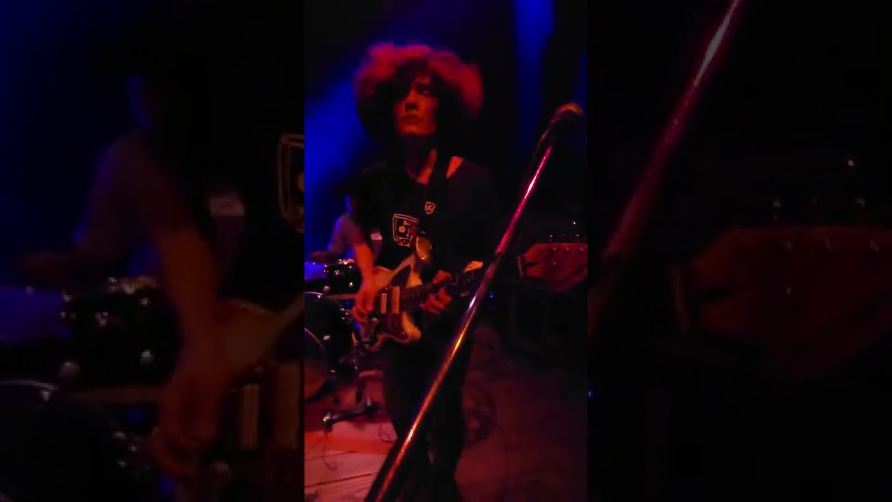 Los seres de protección (vivo) 17/09/2022