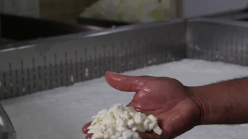 Como o leite vira queijo?