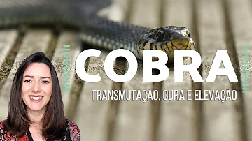 O que significa cobra no quarto?