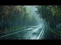 Chuva Pesada e Trovões rosnando em uma pitoresca estrada do parque - Barulho de Chuva para Dormir