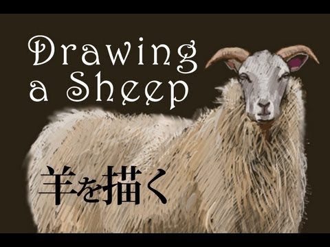 羊の絵を描く Drawing A Sheep Youtube