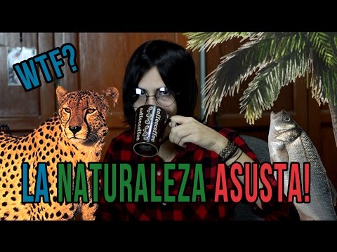 La Naturaleza ASUSTA! ft. John Lennon La Naturaleza ASUSTA! ft. John Lennon