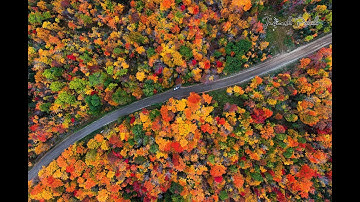 Gorgeous Fall Colors in 4k.  New England - Vermont, New Hampshire and Maine.  Roja movie soundtrack