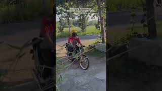  Storywa Tiger Herex shorts