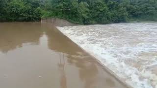 Rain water-flow to Shanigaram Cheruvu || Gone Pally Check Dam || Rains in Telangana 2020