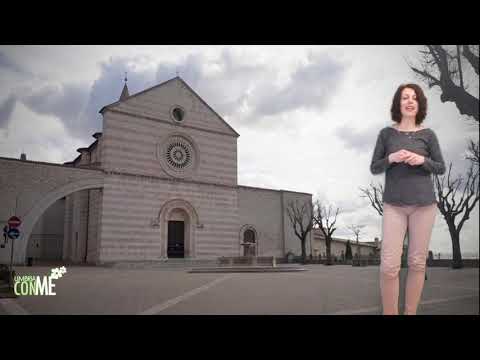 Tour di Assisi e Santa Maria degli Angeli