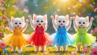 Dudi Dudi Dam Dam 💃💃💃| Cutest Cat Dancing On Dudi Dudi Dum Dum😺By Liliy Meow Dance #dudidudi #dumdum