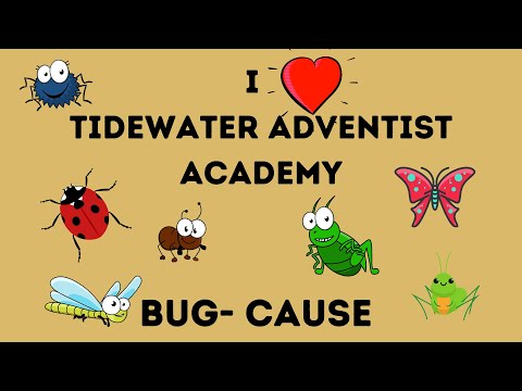 I love Tidewater Adventist Academy BUG-Cause!