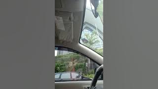 Download lagu 'BIARLAH SENDIRI'