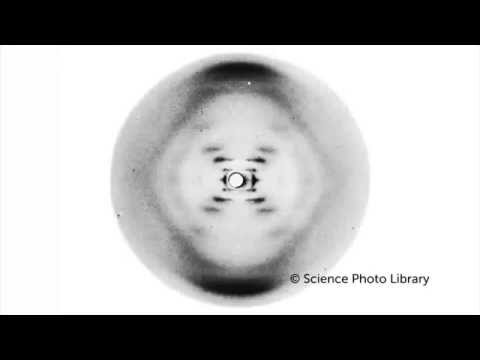 Video: Havde Rosalind Franklin nogen søskende?