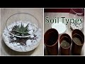 How to Repot and Plant Succulents In A Bowl