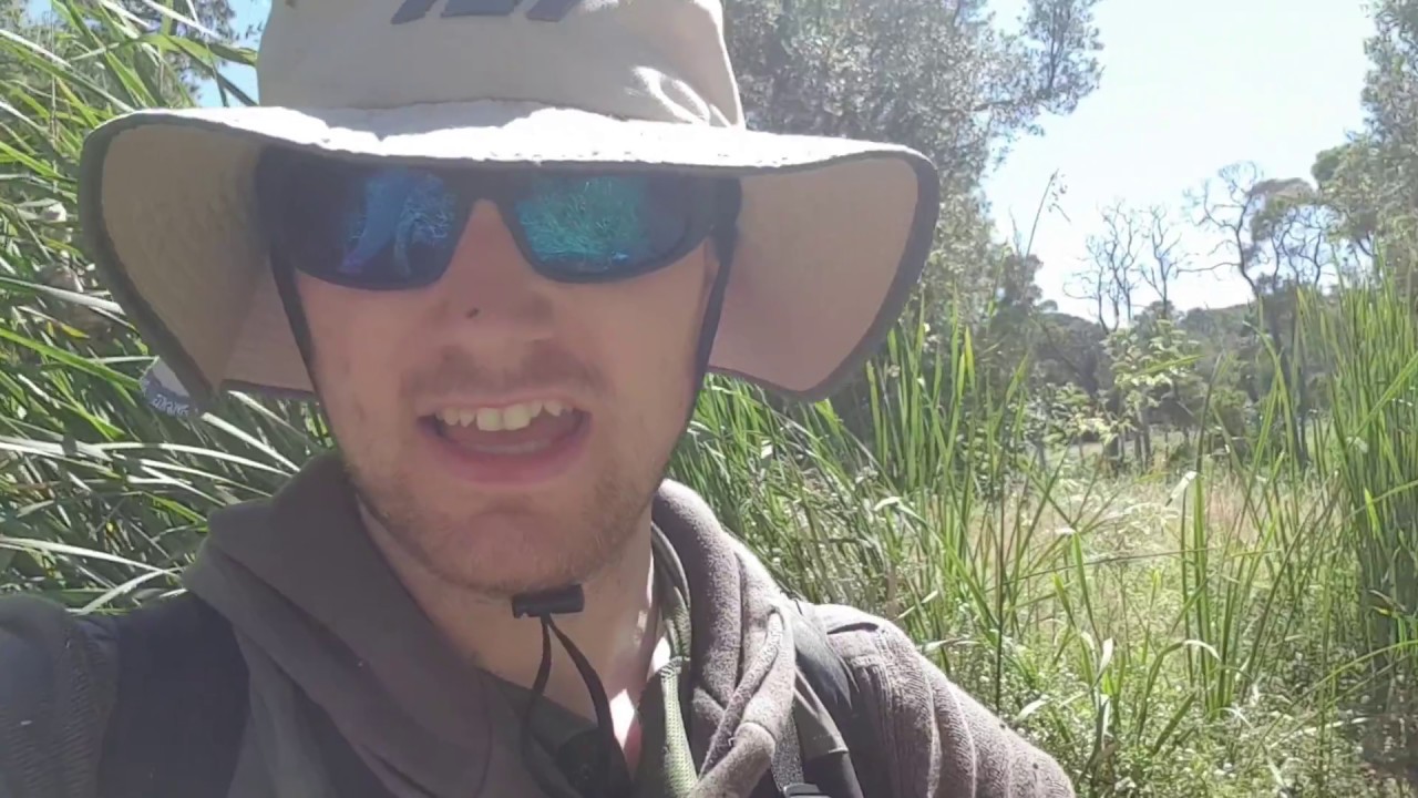 fishing a HIDDEN creek for trout in Melbourne's south east. YouTube