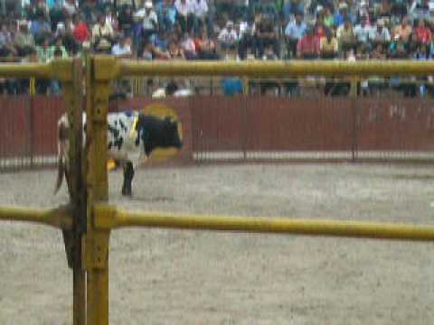 My homeboy Antonio bullfighting in Villa Salvador-...