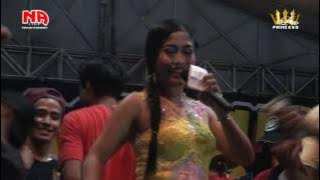 REBUTAN LANANG - Nina Agustin live tegalgirang blok barat