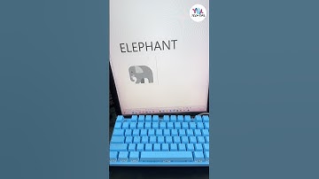 Elephant in MS Word | #asmrkeyboard #mechanicalkeyboard #computer #tricks