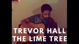 Trevor Hall - The lime tree (Acoustic Cover)